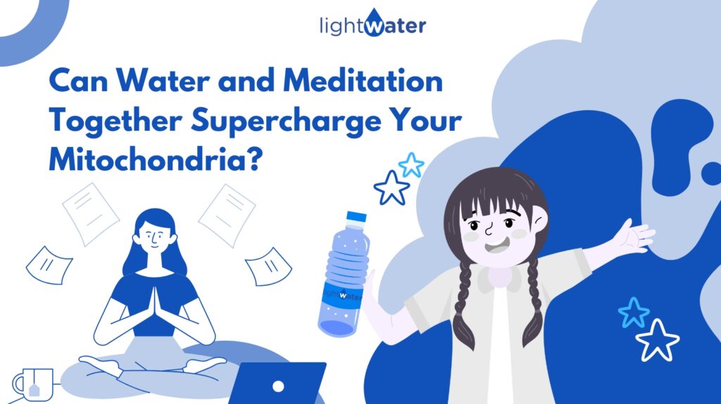 Can-Water-and-Meditation-Together-Supercharge-Your-Mitochondria